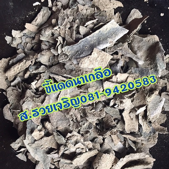 ขี้แดดนาเกลือ ราคาถูก พร้อมส่ง